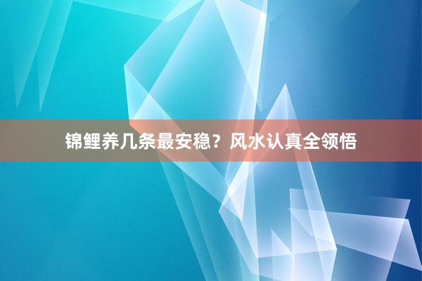锦鲤养几条最安稳？风水认真全领悟