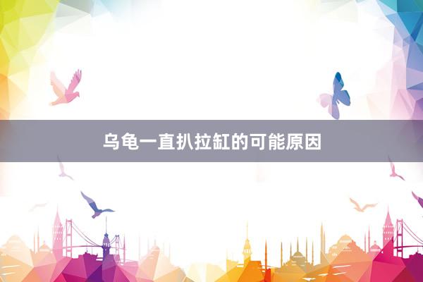 乌龟一直扒拉缸的可能原因